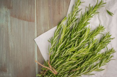 ​吃什么补脑增加记忆力-四种食物效果好（吃什么可以增加大脑记忆力）