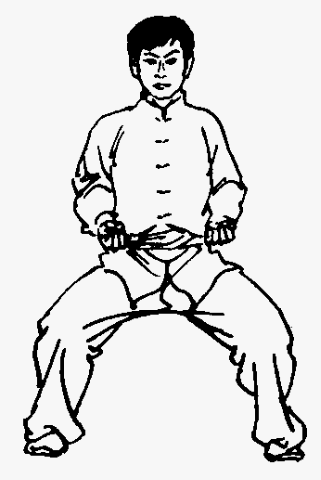 如何练正确的扎马步（你可能不太懂的两种练法）(2)