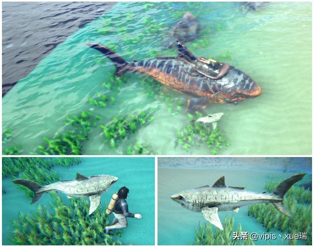 方舟生存进化之鲨齿龙（方舟生存进化生物篇）(6)