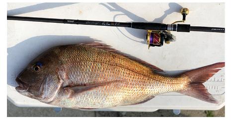 海钓有几种钓法（常用各种海钓钓法钓组图讲解）(1)