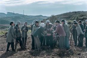 甄嬛传蒋欣最新消息(甄嬛传导演把控全局)(8)