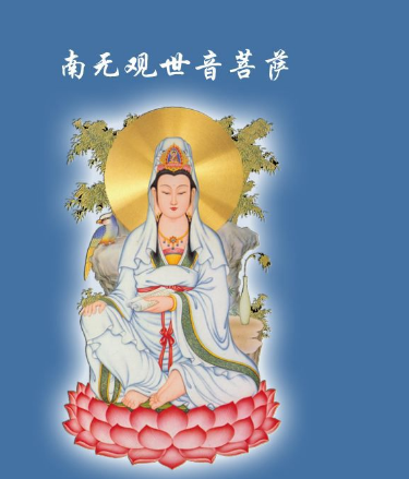 红莲花图片,我要收集关于荷花的资料图4