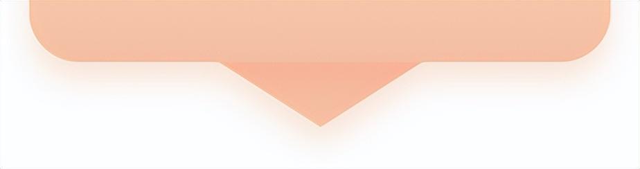 全国人大刑法室（全国人大法工委）(5)