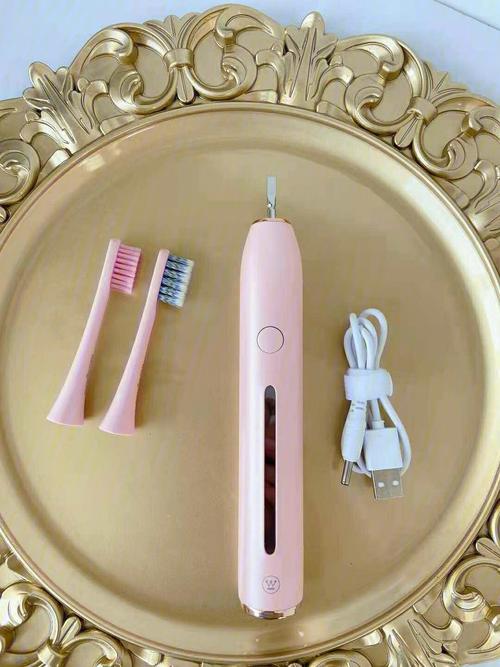 十大经典电动牙刷品牌（电动牙刷十大品牌介绍）