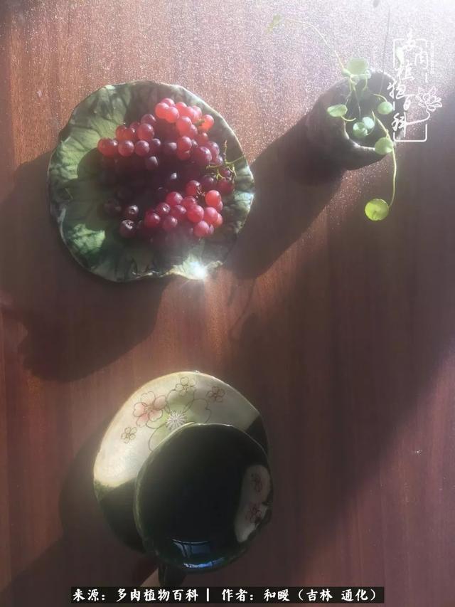 买肉的正确方法和注意事项（工欲善其事必先利其器）(49)