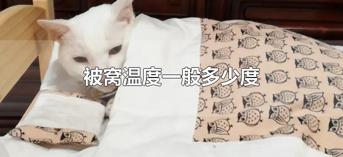 被窝温度一般多少度