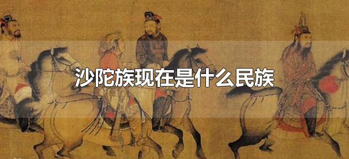 沙陀族现在是什么民族