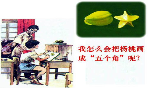 课文画杨桃告诉我们什么道理(课文画杨桃告诉我们一个什么道理)-图2
