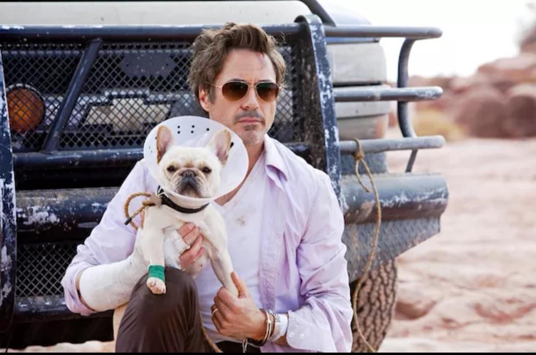 推荐几部笑到肚子疼的电影(二十部让人笑尿的高分爆笑喜剧)