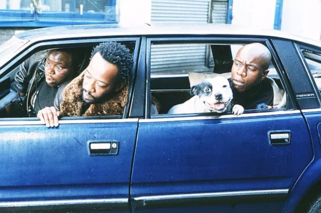 推荐几部笑到肚子疼的电影(二十部让人笑尿的高分爆笑喜剧)