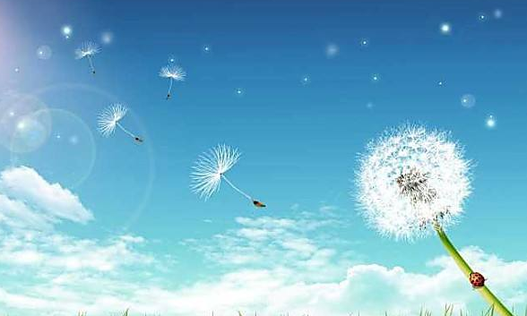 6米每秒是几级风,风速6米每秒是几级风图3