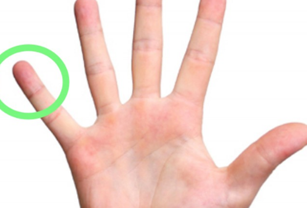 什么情景下会干噩梦?闭于身材你没有领会的十大究竟