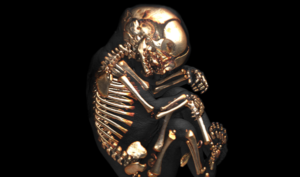 什么情景下会干噩梦?闭于身材你没有领会的十大究竟