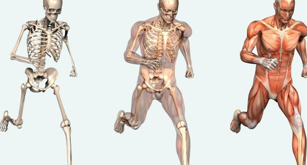 什么情景下会干噩梦?闭于身材你没有领会的十大究竟