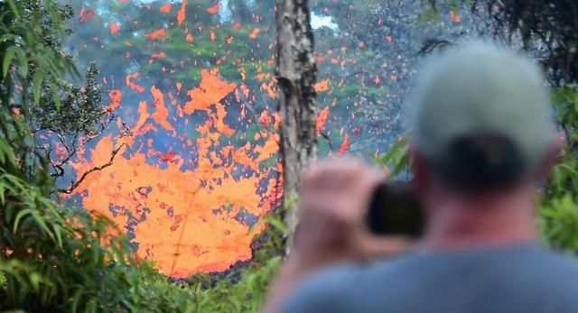 夏威夷在哪里，夏威夷果产地都在哪里，夏威夷果分布范围？图8