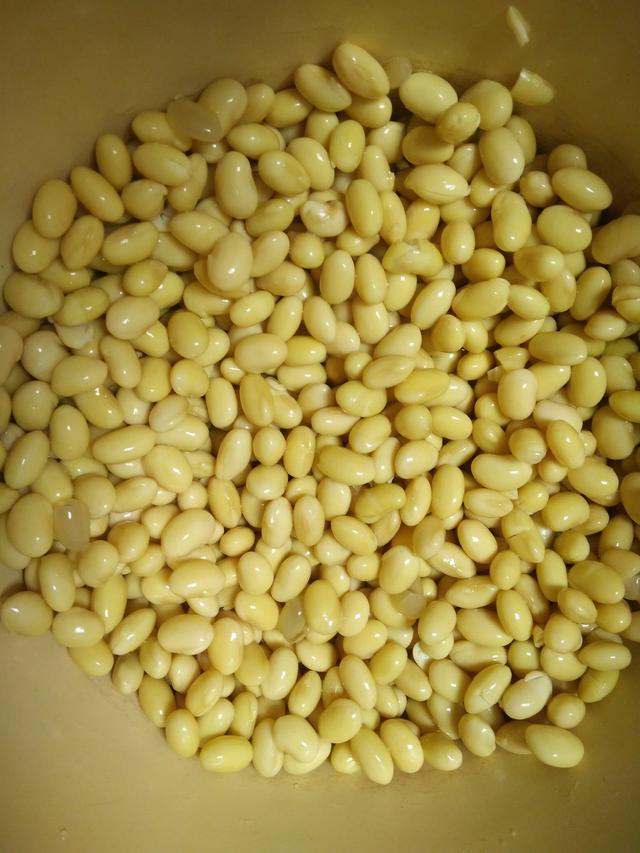 自制黄豆芽最快速的方法（在家中就可以轻轻松松生黄豆芽）(6)