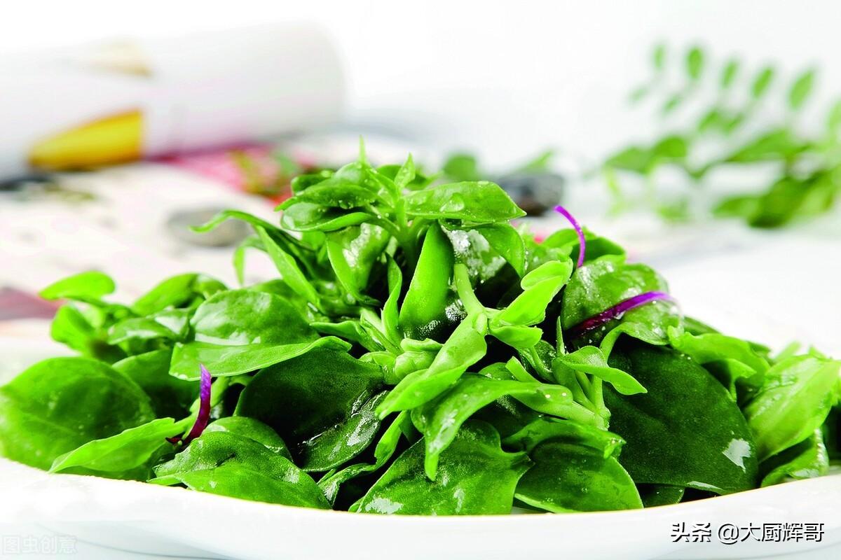 减肥吃什么蔬菜好而且瘦的快减肥期间都可以吃什么（吃什么蔬菜减肥效果最好最快）(图3)