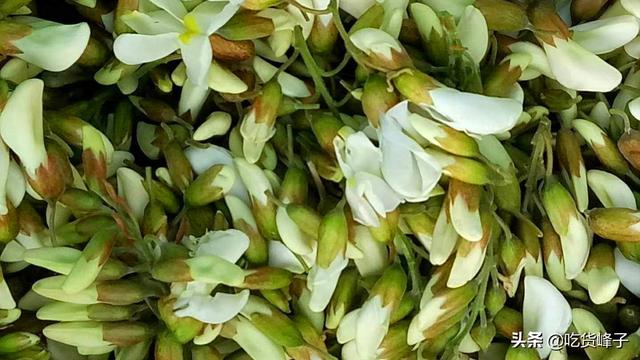 槐花怎样保存最好吃（原来槐花可以这样保存）(3)
