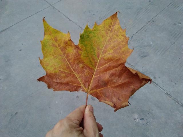 荣耀畅玩平板2值得入手吗（799元荣耀畅玩平板2评测体验）(7)