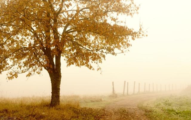 高适写离别的诗句（来日可期重逢可待）(6)
