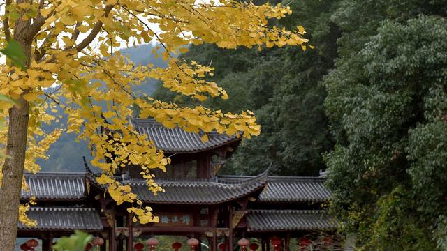 高适写离别的诗句（来日可期重逢可待）(5)