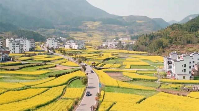 适合春游的景点有哪些地方（10个最美春游旅行地）(4)