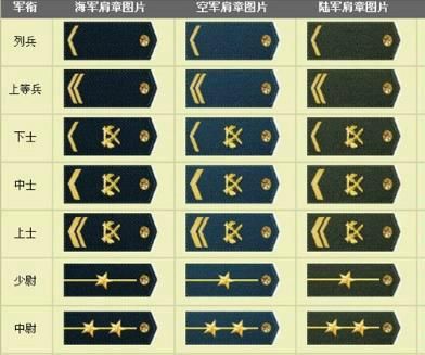 一个金星是什么级别