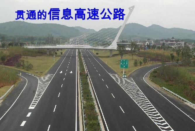 信息高速公路是不是最初是由美国副总统戈尔在1993年提出来的