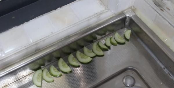 什么方法灭蟑螂最快最有效,消灭蟑螂最高效最彻底的方法 好大夫图4