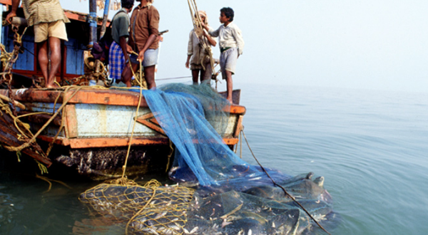 生人怎样才华钓到鱼?垂钓初学十大基原常识