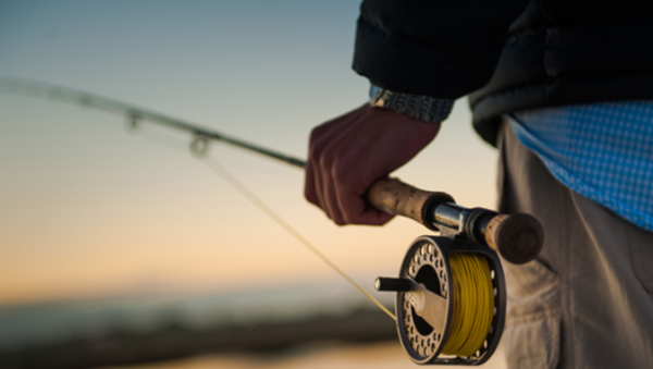 生人怎样才华钓到鱼?垂钓初学十大基原常识