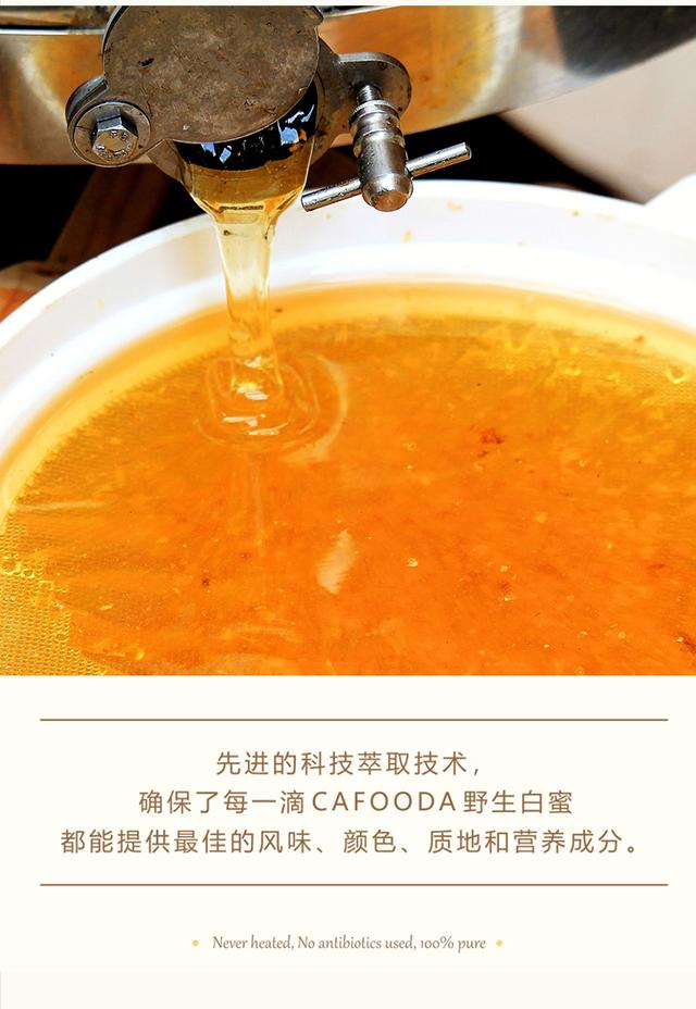 新西兰蜂蜜十大品牌排名（蜂蜜中的爱马仕）(3)