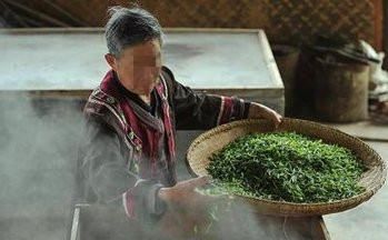 哪些茶叶属于绿茶,哪些茶属于绿茶类图9