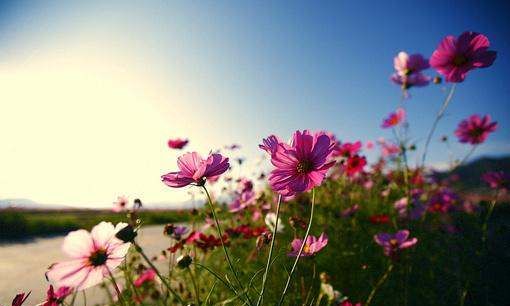 早安最短精句正能量朋友圈,每日正能量激励早安心语图片图2