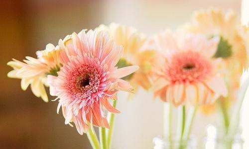 早安最短精句正能量朋友圈,每日正能量激励早安心语图片图6