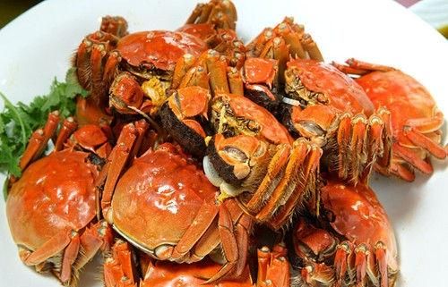 请问虾和螃蟹哪个热量高,波龙和面包蟹哪个营养价值高?图9