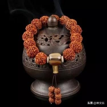 怎么深度清理金刚菩提（最快最有效的金刚菩提清理方法）(3)