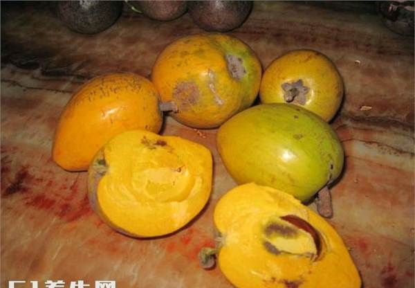 鸡蛋果不熟怎么催熟