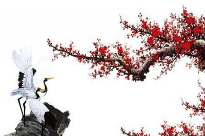 ​鹤妻梅子是何典故