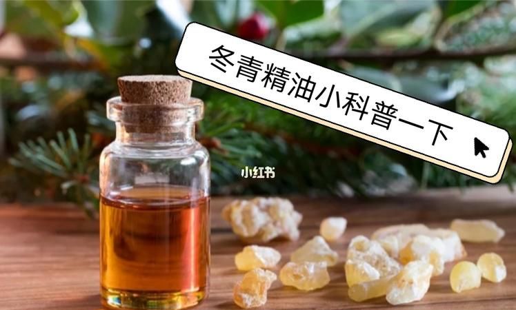 岗梅根的药性与用途是什么