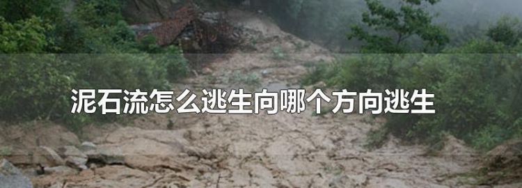 如果发生泥石流应该往哪个方向跑
