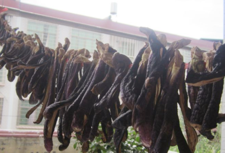 茄子太多了怎样保存到冬天吃