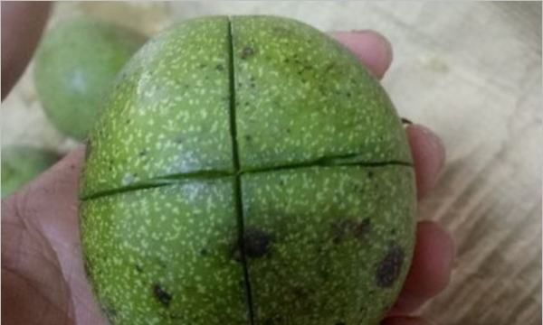 湿核桃怎么去皮最快,新鲜核桃如何做到快速去皮吃图2