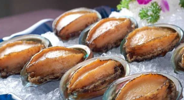 鲜鲍鱼死了怎么保存,刚死的鲍鱼如何保存图3