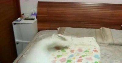 ​杭州一女子离奇失踪(浙江杭州女子离奇失踪最新消息)