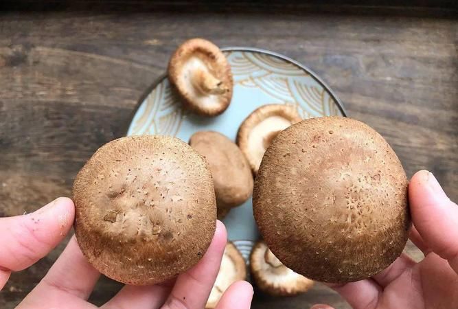 香菇可以放冰箱冷藏可以保存几天