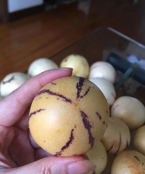 人参果要放冰箱保存吗,人参果硬的可以吃