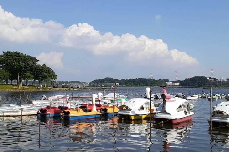 我孙子市离东京多远(我孙子市是哪个县)