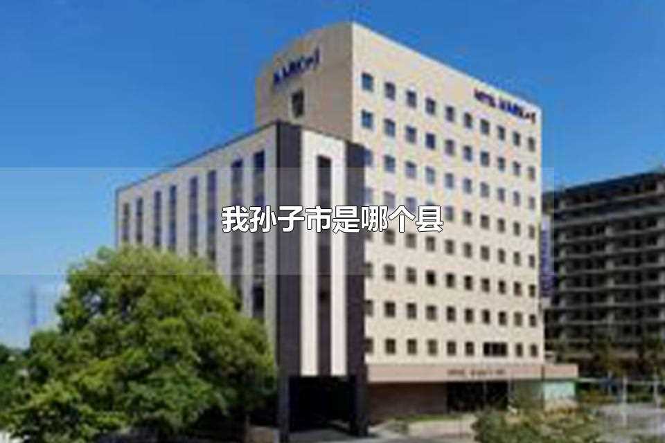 我孙子市离东京多远(我孙子市是哪个县)