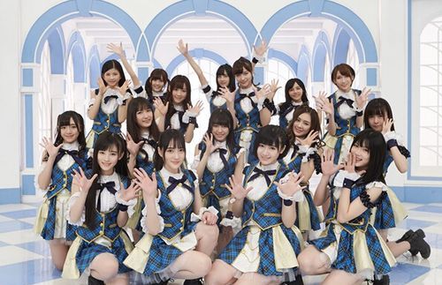 sh 48组合共有多少名成员